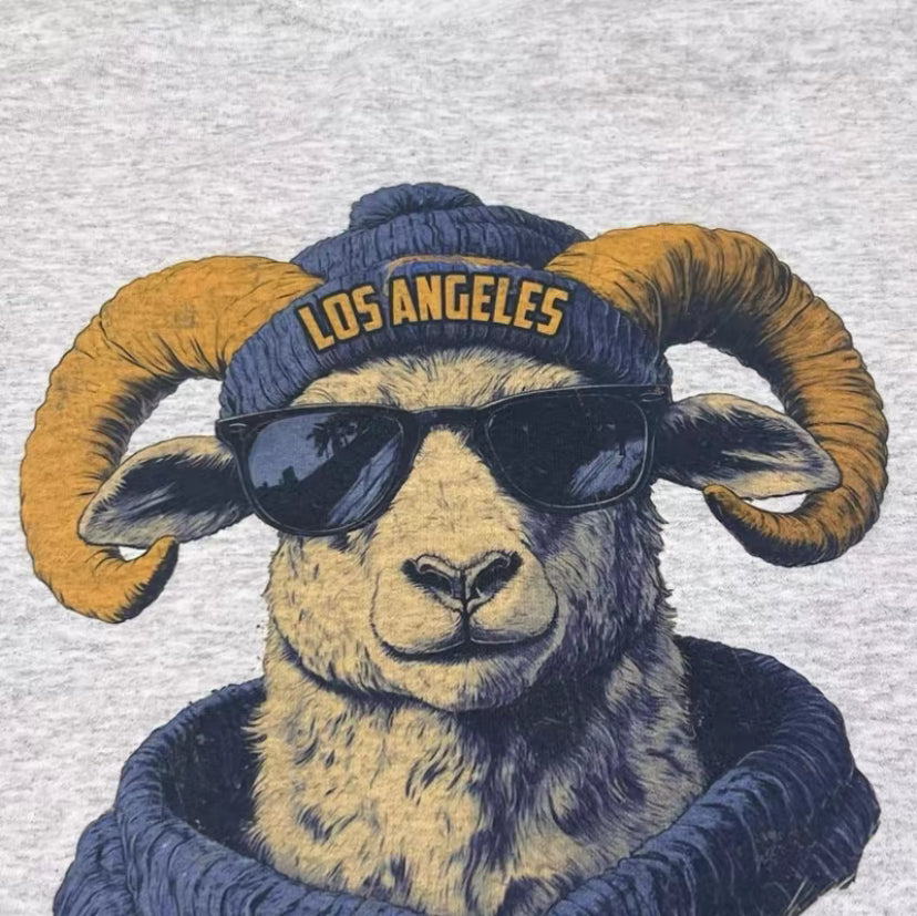 Spirit Animal Football Graphic T-Shirt/Sweatshirt/Hoodie