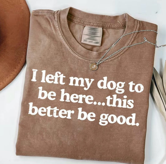 Left My Dog To Be Here This Better Be Good T-Shirt/Sweatshirt/Hoodie