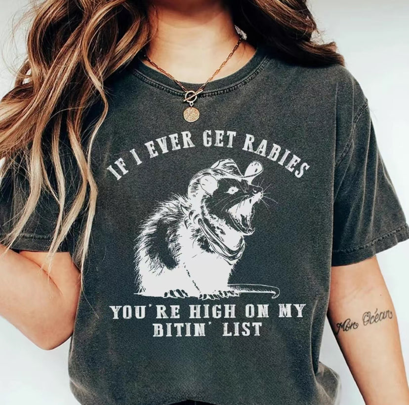 If I Ever Get Rabies Raccoon Trendy T-Shirt/Sweatshirt/Hoodie