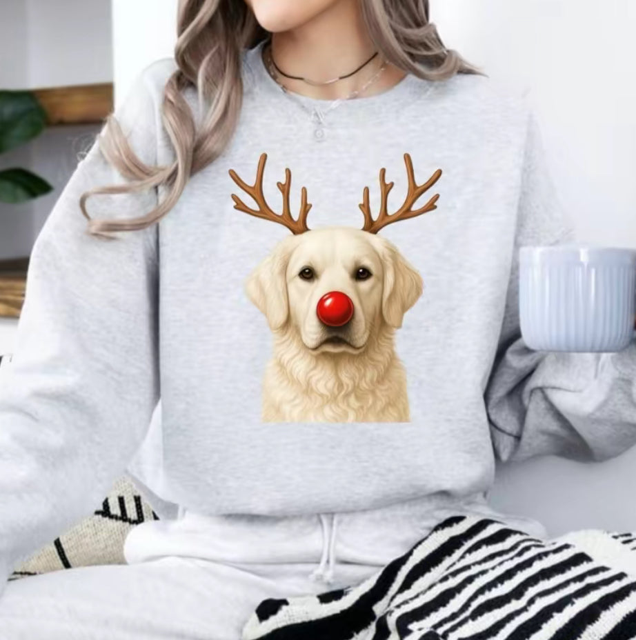 Christmas Reindeer Dog T-Shirt/Sweatshirt/Hoodie