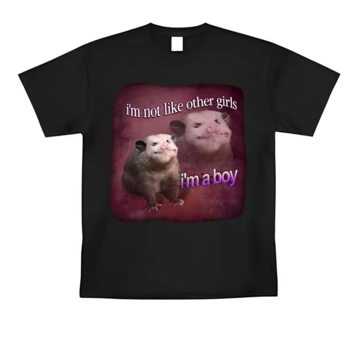 I'm Not Like Other Girls I'm A Boy T-Shirt/Sweatshirt/Hoodie