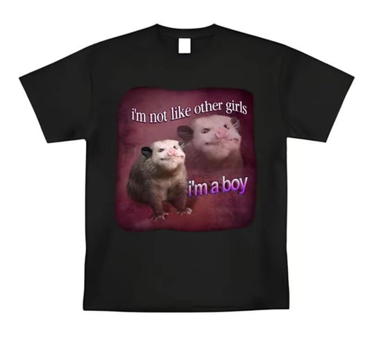 I'm Not Like Other Girls I'm A Boy T-Shirt/Sweatshirt/Hoodie