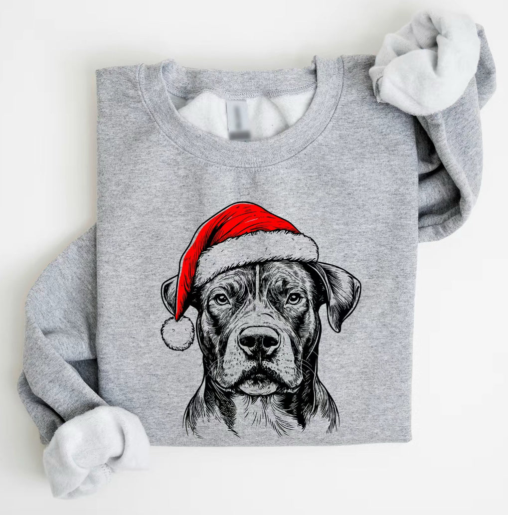 Santa Paws Christmas Dog T-Shirt/Sweatshirt/Hoodie