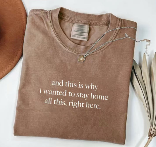 And This Is Why I Wanted To Stay Home All This Right Here T-Shirt/Sweatshirt/Hoodie